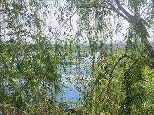 廠區(qū)環(huán)境